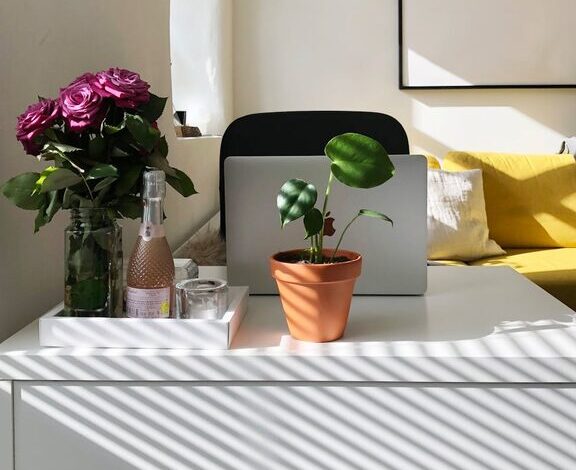 Tips for Creating a Relaxing Home Workspace to Boost Productivity and Comfort